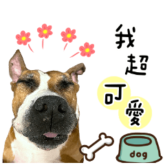 寶貝胖胖❤️