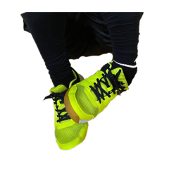 玉米如果有朋友2.0