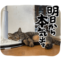 tama hina_20220626205724