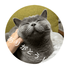 megumi_20220626212834