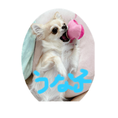 tomomi_20220626215033