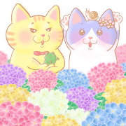 Cute and lovely cat Sticker1.5