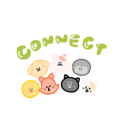 CONNECT!!