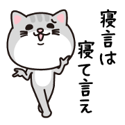 NG cat