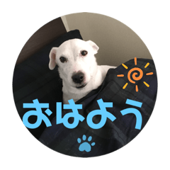 kaori sakata_20220627002021