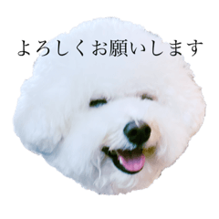 Ayumi_20220627003503