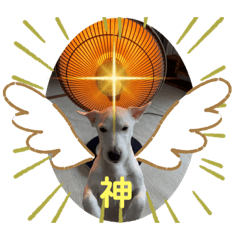 kaori sakata_20220627004245