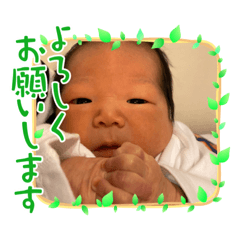 akari_20220627101348
