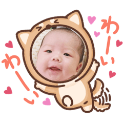 tanuki_20220627144049