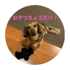 Jin_20220627155302