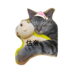 胖虎喵貼圖ಠᴥಠ