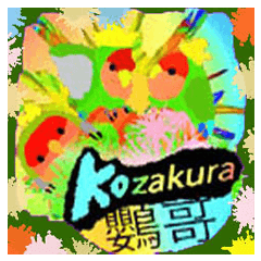 very good kozakurainko