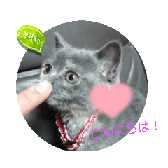 tori_20220627162540