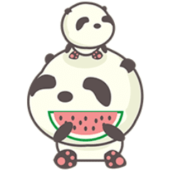 watermelon panda