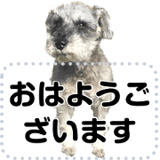 Benny Iwasaki