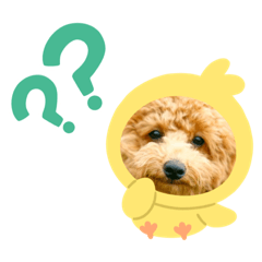 yuto_20220628073533