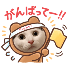 SHIHO_20220627220921