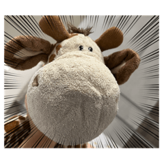 鹿鹿家族&奇特的外星生物