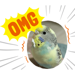 tomomi_20220627224116