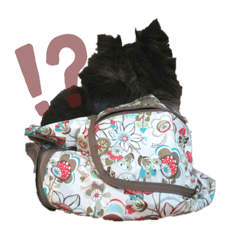 mayuyu_20220627232745