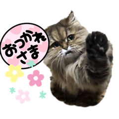 hana_20220627233109