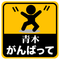 AOKI KANJI PICT St. (JAPAN)