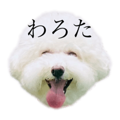 Ayumi_20220627224650