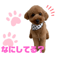 rina_20220628121114