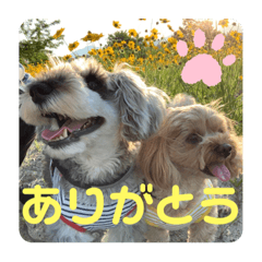 SAORI_20220628150740