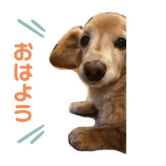 aoi_20220628173933
