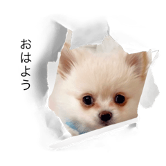 natsumi_20220628172944