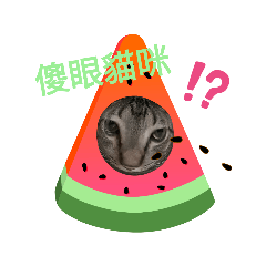 胖虎喵貼圖2