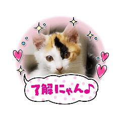 sak_20220628210609