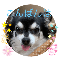 rina_20220628185449
