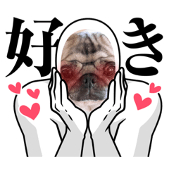 pug shizuku_20220628170603