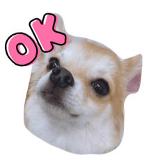 Tomomi_20220628213233