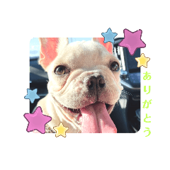 kaori_20220629003607