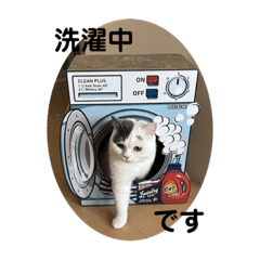 megumi_20220629000052