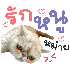 KhaoKhua : One face little Girl Cat V.4