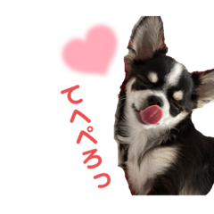 Saori_20220629143939