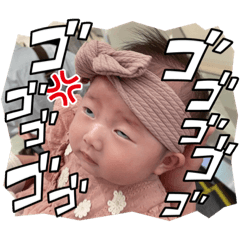 tanuki_20220630094719