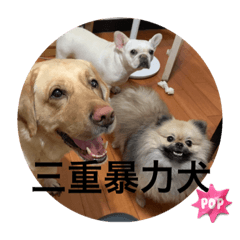 金吉利三重店 屁孩店員