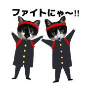 FUKU&HANA.NEKO