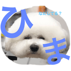 yun_20220629173931