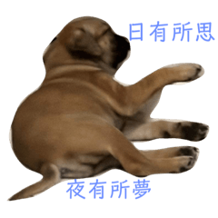 妞與兩小