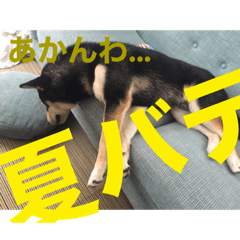 msk_20220629150700