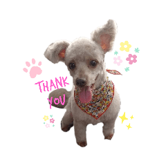 ウチのレン(日常会話～色々～)