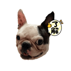 Arisa_20220629195846