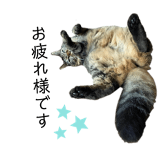 matsu_20220629222747