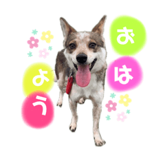 rina_20220630005019